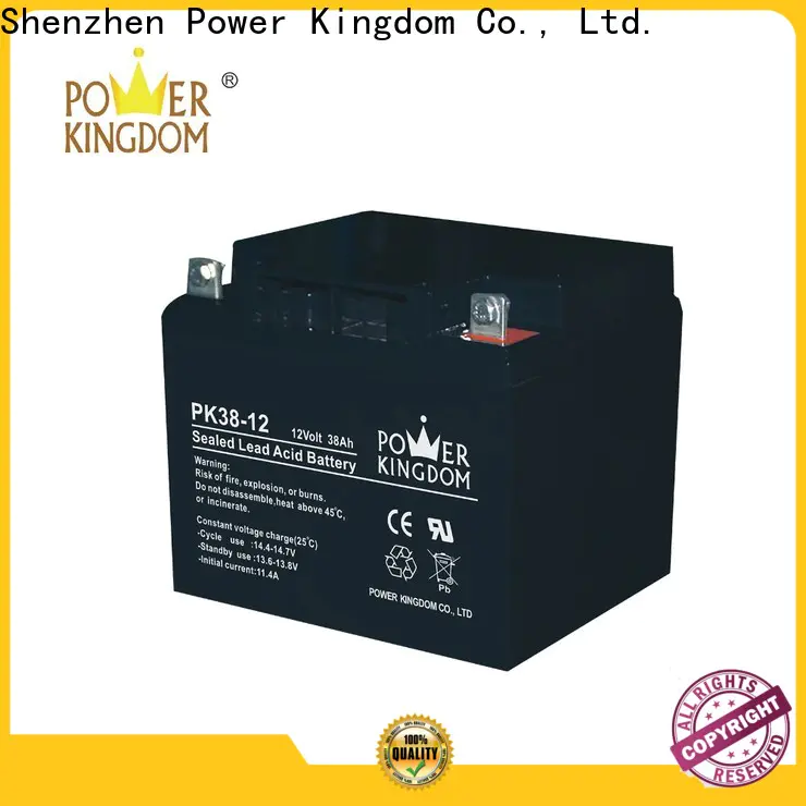 Power Kingdom Custom can i charge an agm battery with a regular charger factory price Power tools
