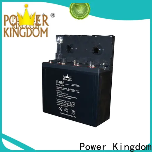 Power Kingdom mixing lead acid and agm batteries directly sale Automatic door system