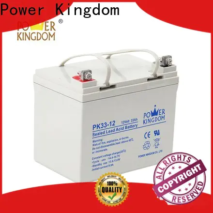 Power Kingdom New 12v gel directly sale Automatic door system