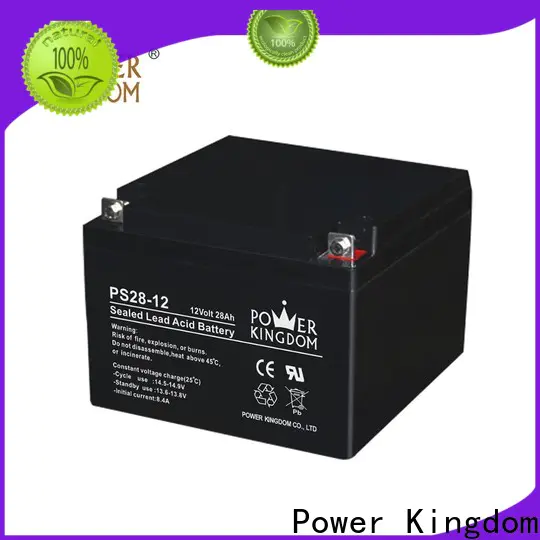 Power Kingdom equalizing agm batteries with good price solar and wind power system