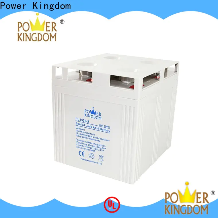 Power Kingdom advanced plate casters agm deep cycle batteries for sale customization Automatic door system