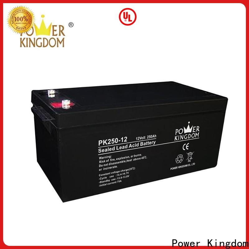 Power Kingdom Best valve regulated sealed lead acid customization Power tools