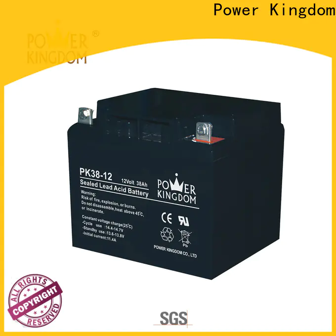 Power Kingdom High-quality 12v gel cell rechargeable battery directly sale Automatic door system