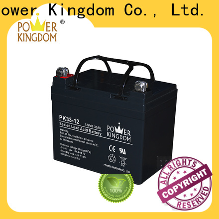 Power Kingdom High-quality 50ah gel battery customization Power tools