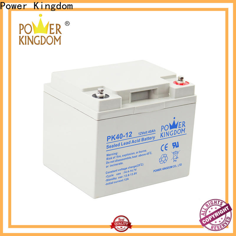 Power Kingdom agm battery specs Supply