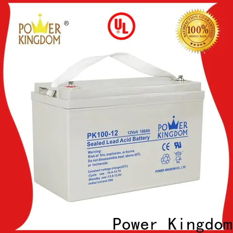 Power Kingdom Custom spiral car battery order now Automatic door system