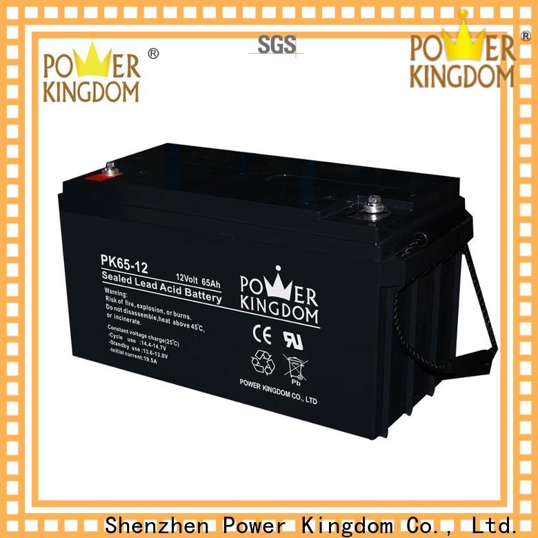 Power Kingdom Custom 12v agm deep cycle battery with good price solar and wind power system