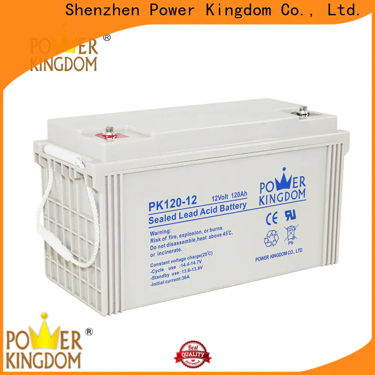 Power Kingdom flooded deep cycle battery factory Automatic door system