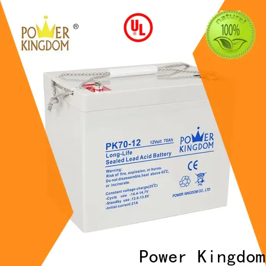Power Kingdom Custom group 49 agm battery from China Automatic door system