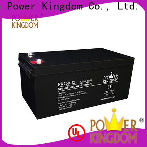 Power Kingdom mechanical operation agm battery wiki factory price