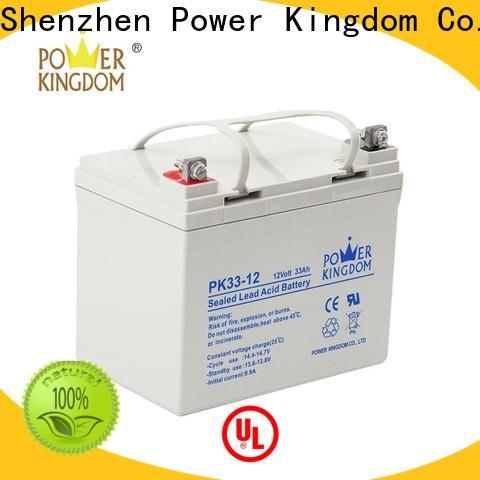 Power Kingdom agm battery technology factory price Power tools