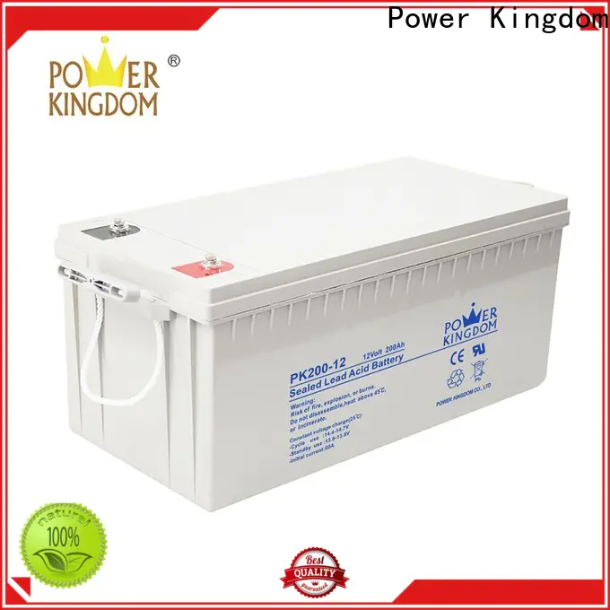 Power Kingdom High-quality 110ah gel battery directly sale solar and wind power system