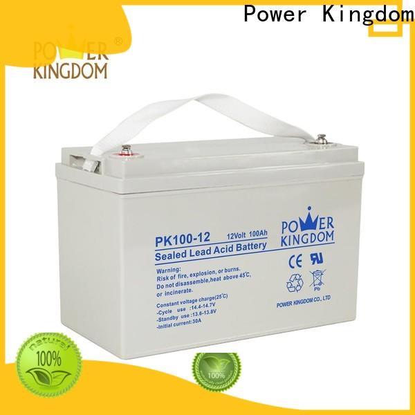 Power Kingdom absorbed glass mat deep cycle batteries directly sale Power tools