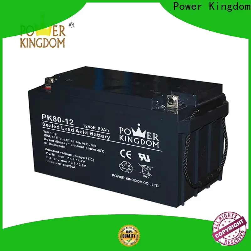Power Kingdom High-quality gel valve regulated sealed battery with good price Automatic door system