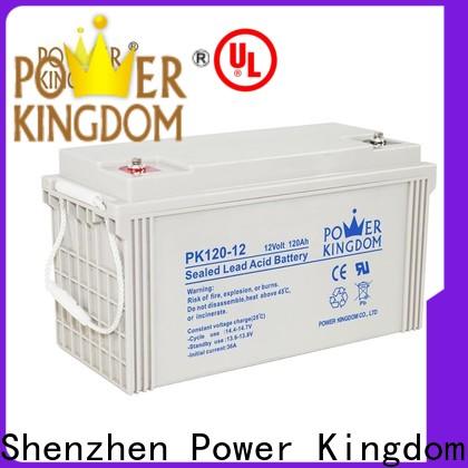 Power Kingdom High-quality 12v gel battery for sale free quote Automatic door system