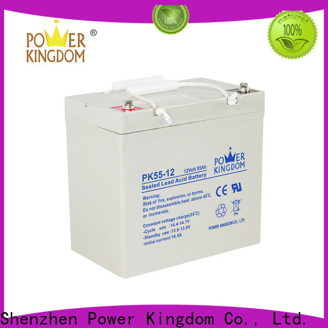 Power Kingdom gel battery life expectancy factory price