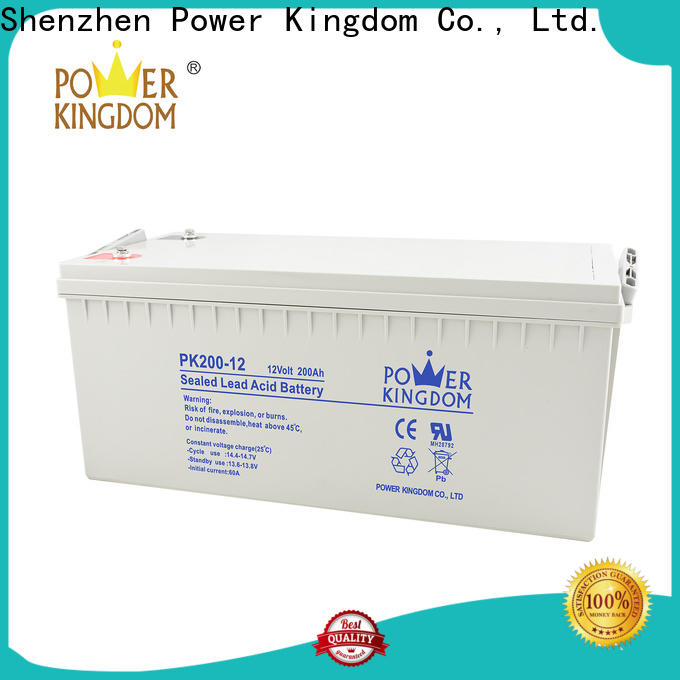 Power Kingdom amg car battery factory price Automatic door system
