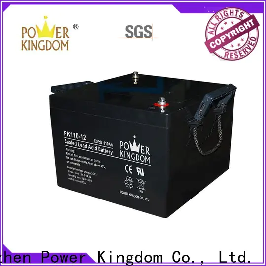 Power Kingdom advanced plate casters 6 volt agm batteries for business Automatic door system