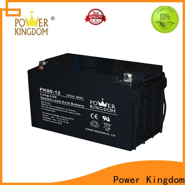 Power Kingdom gel pack battery factory price Automatic door system